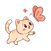 Curious Cat and Rosé Butterfly