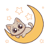Chaton sur Lune Etoilée