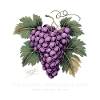 Raisins millésimés