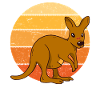 Kangaroo at sunset