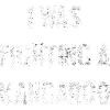 I was fighting a kangaroo