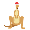Kangaroo in the magic of Christmas