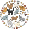 Cute Cats Colourful Kittens Illustration