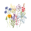 Prairie d’été pour le cœur