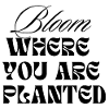 Bloom Where You Are Planted