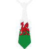 Welsh dragon tie green-and-white theme