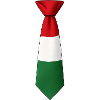 Hungary flag on tie