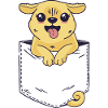 Pocket Cute Dog