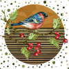 Bunter Vogel