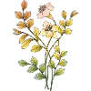Fleur
