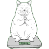 Fat cat in meditation mode
