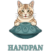 J’adore mon chat Handpan