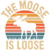 Moose Sunset Is Loose
