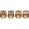 Funny Owl Cartoon Annoyed Look Yawning