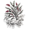 Bouquet floral monochrome contraste