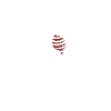 CUPIDON