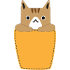 Chest pocket with cat