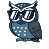 Cool owl with sunglasses