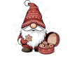 Christmas gnome with cookies