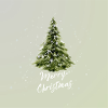 Merry Christmas Karte green