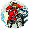 Christmas Biker / Mountain Bike