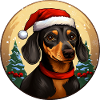 Noël teckel
