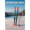 Bavarian Forest Skiing Experience
