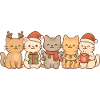 Chats, enfants, garçons, filles, Noël