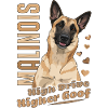 Belgian Malinois High Drive Higher Goof