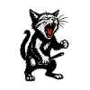 Angry Cat Black & White