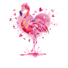 Flamingo Heart Motif Pink Palette