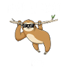 Before You Ask Nope Sloth Saying Gift Humor