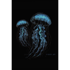 Jellyfish - Quallen