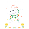 Rabbit_six_seven broth