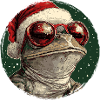 Frog Santa Style Sunglasses
