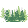 Forest Tree Greens