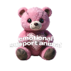 Tender pink bear with heart
