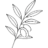 Olive Branch Line Art