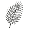 Black Palm Leaf Sketch