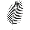 Palm Leaf Silhouette