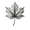 Maple Leaf Black & White Minimal