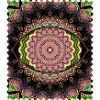 Cascade de Fleurs de Mandala