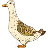 canard