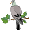 Bunter Vogel