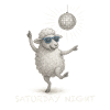 DiscoSchaf Saturday Night
