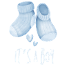 Blue Baby Booties It's a Boy