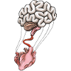 Heart & Brain