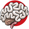 Gehirn Hirn Brain