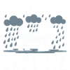 Bad weather dog expert