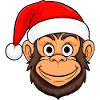 Monkey Christmas / Santa Claus Monkey
